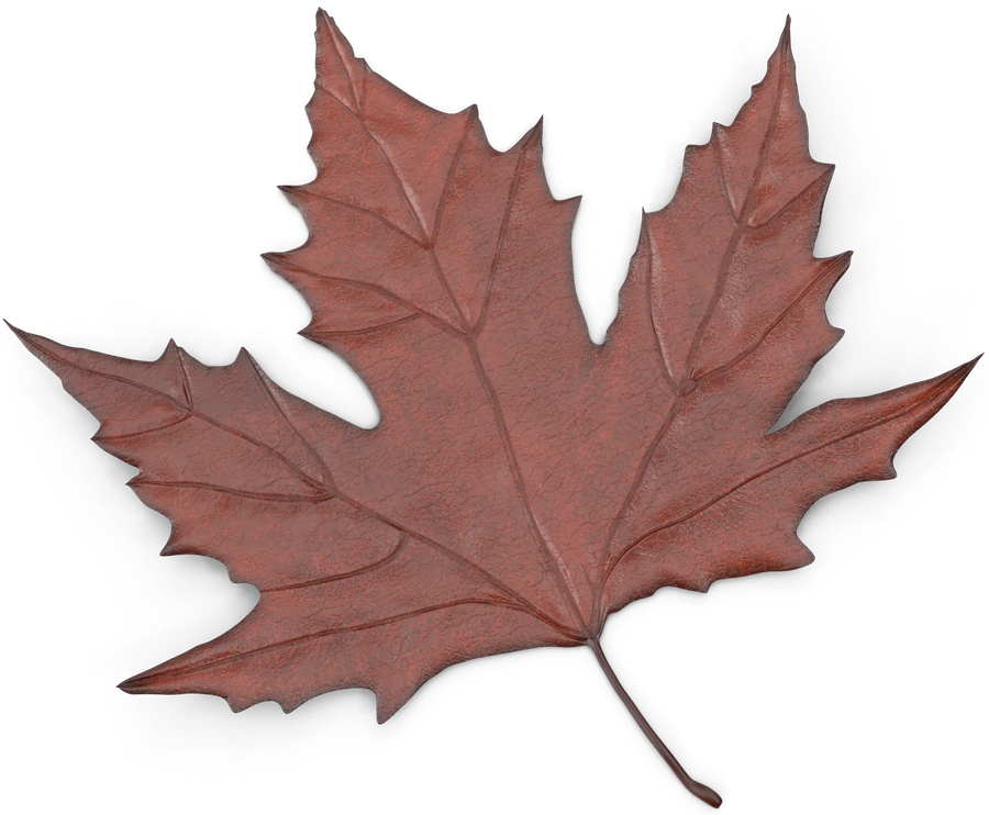 Maple Leaf.B16.2k-min